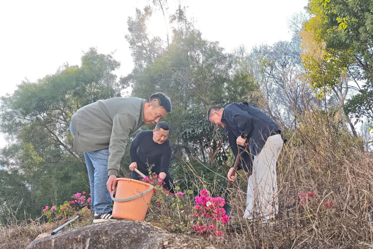 �������������ֲ��������δ�� | ��У��չֲ��������